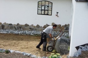 SONY DSC